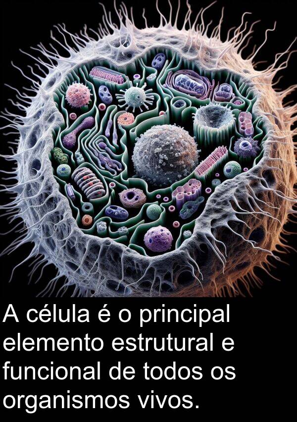 funcional: A célula é o principal elemento estrutural e funcional de todos os organismos vivos.