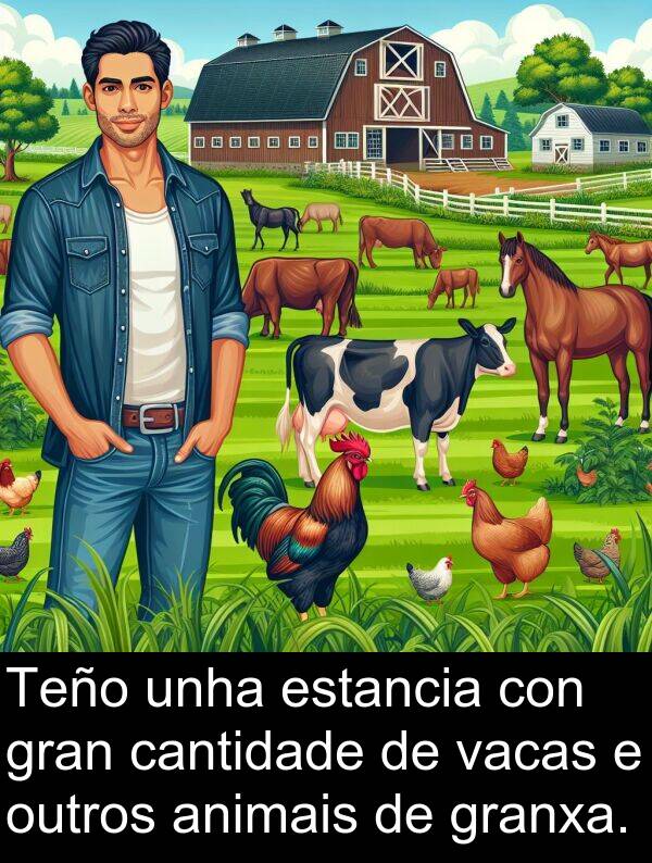 granxa: Teño unha estancia con gran cantidade de vacas e outros animais de granxa.