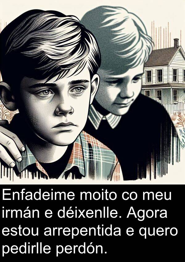 estou: Enfadeime moito co meu irmán e déixenlle. Agora estou arrepentida e quero pedirlle perdón.