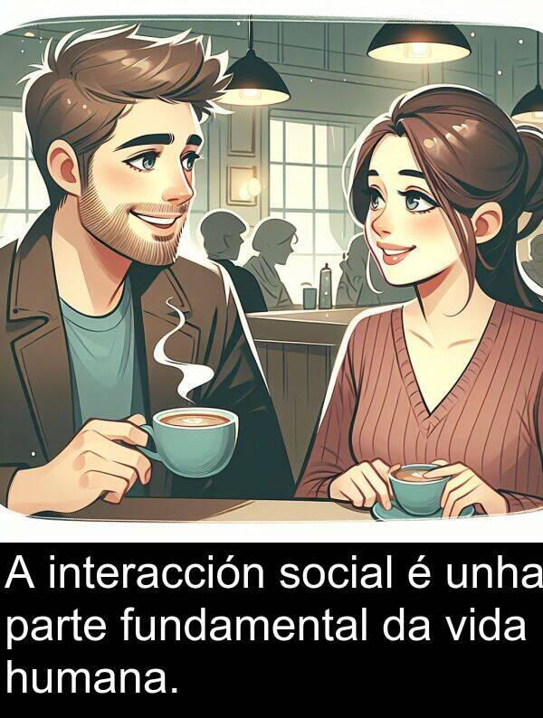 fundamental: A interacción social é unha parte fundamental da vida humana.
