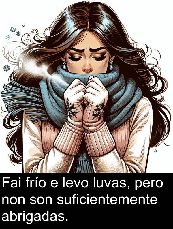 frío: Fai frío e levo luvas, pero non son suficientemente abrigadas.