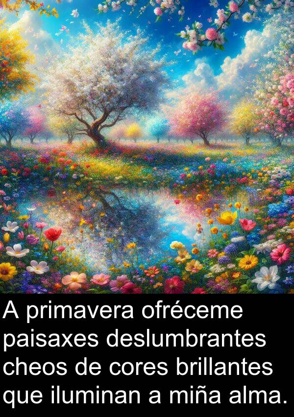 cores: A primavera ofréceme paisaxes deslumbrantes cheos de cores brillantes que iluminan a miña alma.