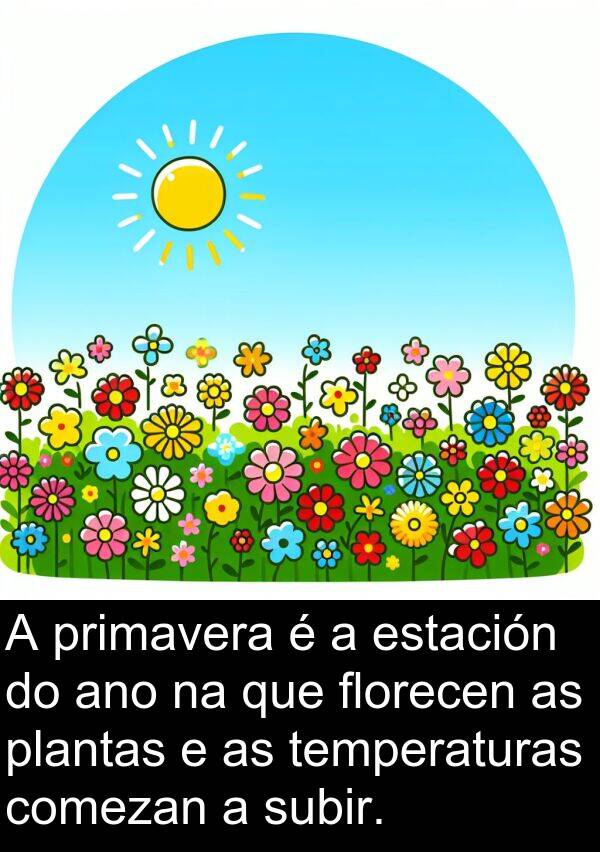 ano: A primavera é a estación do ano na que florecen as plantas e as temperaturas comezan a subir.
