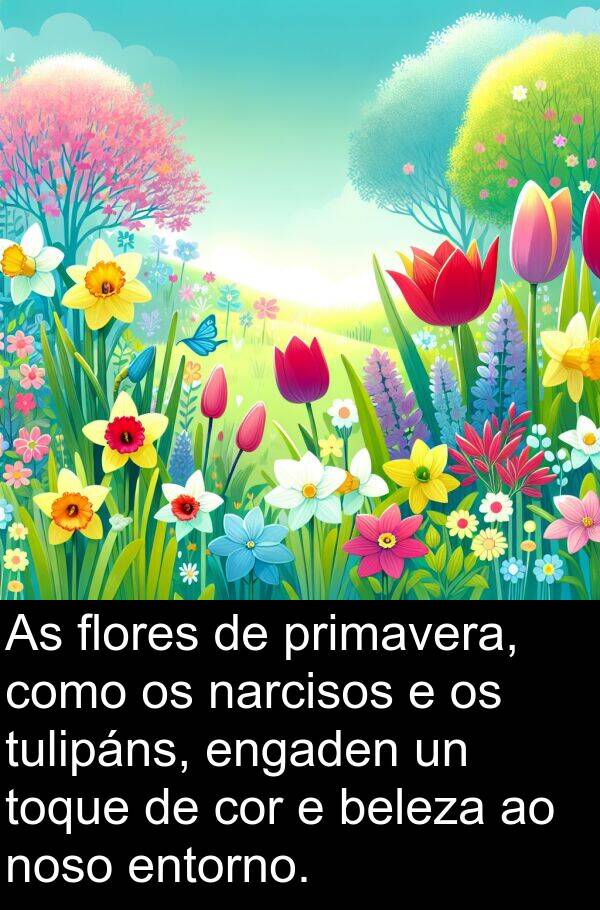engaden: As flores de primavera, como os narcisos e os tulipáns, engaden un toque de cor e beleza ao noso entorno.