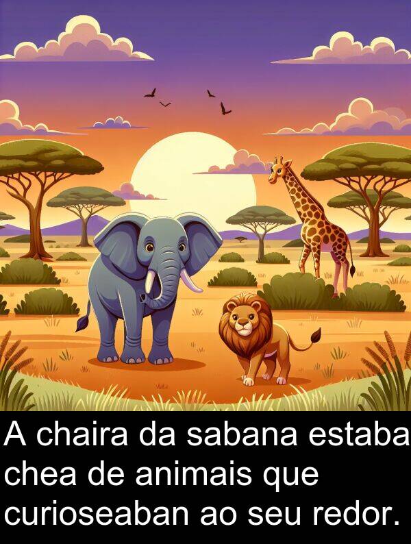 redor: A chaira da sabana estaba chea de animais que curioseaban ao seu redor.