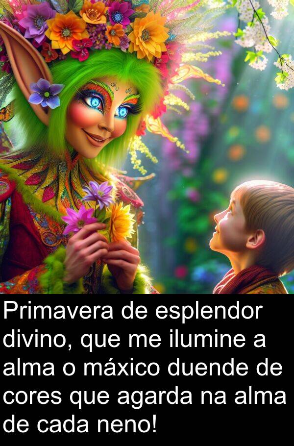 cores: Primavera de esplendor divino, que me ilumine a alma o máxico duende de cores que agarda na alma de cada neno!