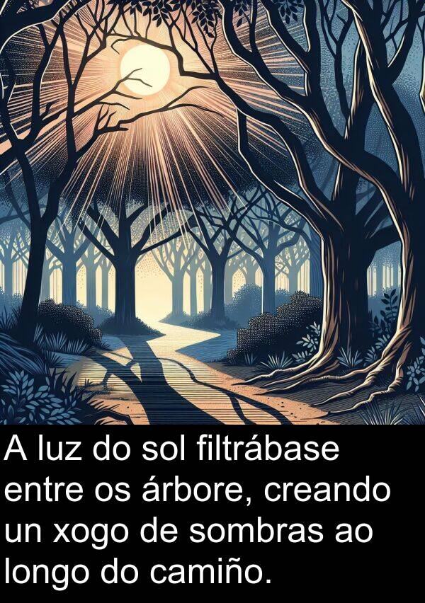 sombras: A luz do sol filtrábase entre os árbore, creando un xogo de sombras ao longo do camiño.