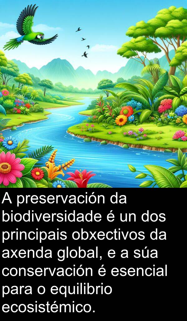equilibrio: A preservación da biodiversidade é un dos principais obxectivos da axenda global, e a súa conservación é esencial para o equilibrio ecosistémico.