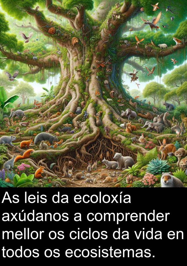 ecosistemas: As leis da ecoloxía axúdanos a comprender mellor os ciclos da vida en todos os ecosistemas.