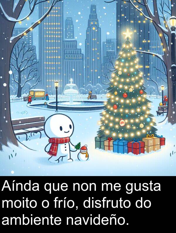 ambiente: Aínda que non me gusta moito o frío, disfruto do ambiente navideño.