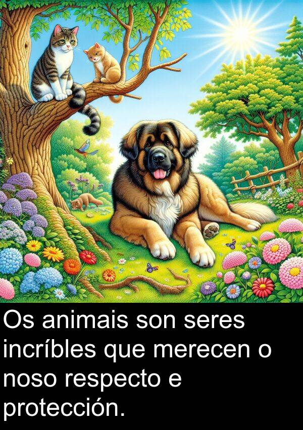 seres: Os animais son seres incríbles que merecen o noso respecto e protección.