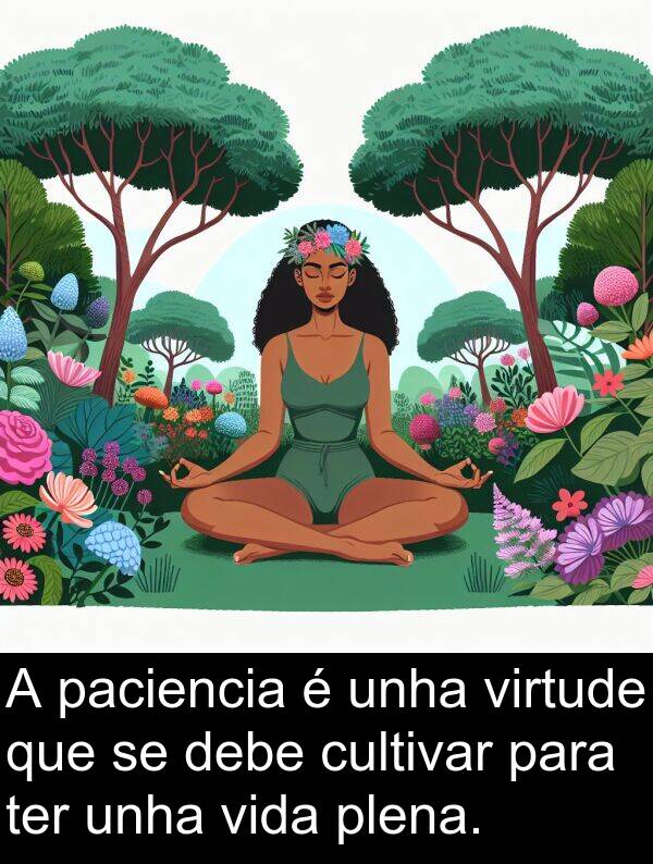 ter: A paciencia é unha virtude que se debe cultivar para ter unha vida plena.