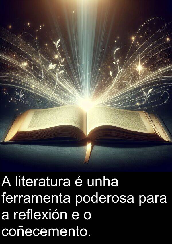 reflexión: A literatura é unha ferramenta poderosa para a reflexión e o coñecemento.