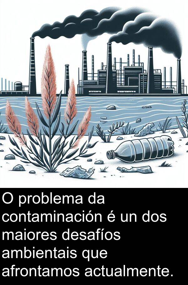 contaminación: O problema da contaminación é un dos maiores desafíos ambientais que afrontamos actualmente.