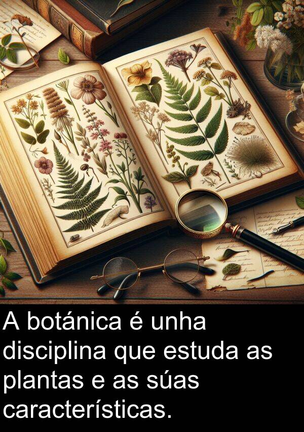 estuda: A botánica é unha disciplina que estuda as plantas e as súas características.