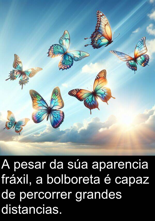 pesar: A pesar da súa aparencia fráxil, a bolboreta é capaz de percorrer grandes distancias.