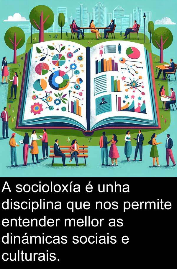 entender: A socioloxía é unha disciplina que nos permite entender mellor as dinámicas sociais e culturais.