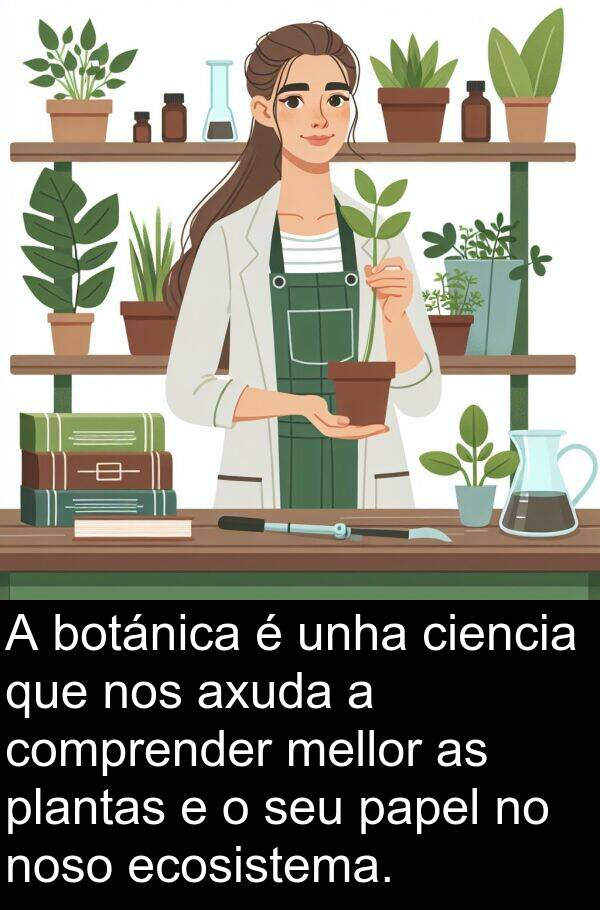 ecosistema: A botánica é unha ciencia que nos axuda a comprender mellor as plantas e o seu papel no noso ecosistema.
