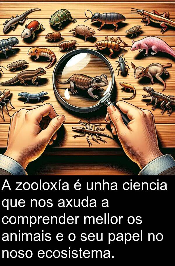 ecosistema: A zooloxía é unha ciencia que nos axuda a comprender mellor os animais e o seu papel no noso ecosistema.