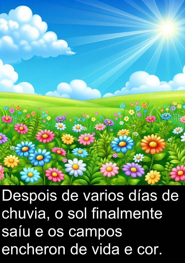 días: Despois de varios días de chuvia, o sol finalmente saíu e os campos encheron de vida e cor.
