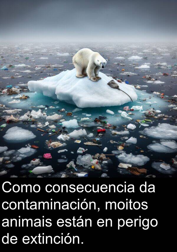 contaminación: Como consecuencia da contaminación, moitos animais están en perigo de extinción.