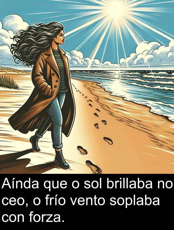 forza: Aínda que o sol brillaba no ceo, o frío vento soplaba con forza.