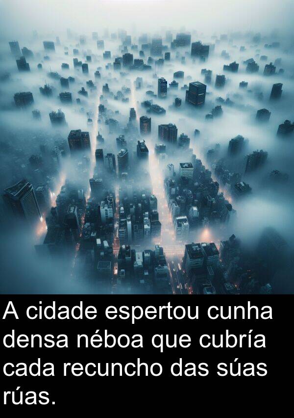 recuncho: A cidade espertou cunha densa néboa que cubría cada recuncho das súas rúas.
