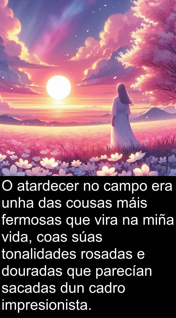 rosadas: O atardecer no campo era unha das cousas máis fermosas que vira na miña vida, coas súas tonalidades rosadas e douradas que parecían sacadas dun cadro impresionista.