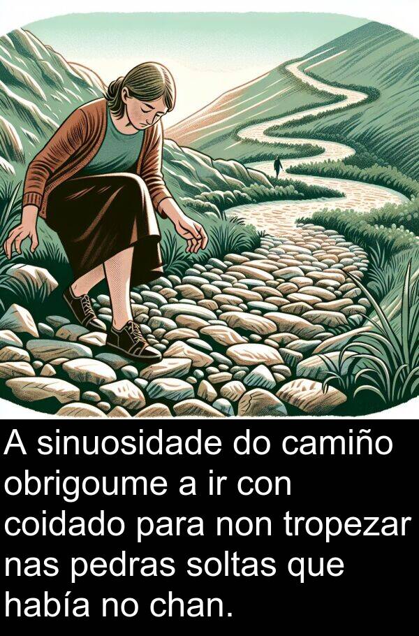 tropezar: A sinuosidade do camiño obrigoume a ir con coidado para non tropezar nas pedras soltas que había no chan.