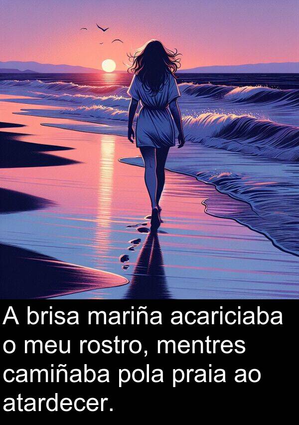 rostro: A brisa mariña acariciaba o meu rostro, mentres camiñaba pola praia ao atardecer.