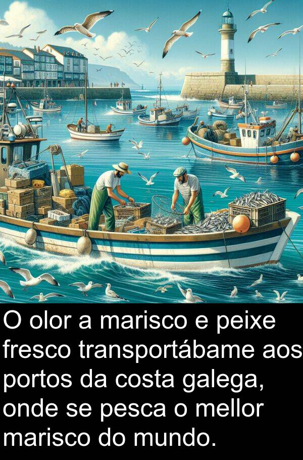 pesca: O olor a marisco e peixe fresco transportábame aos portos da costa galega, onde se pesca o mellor marisco do mundo.