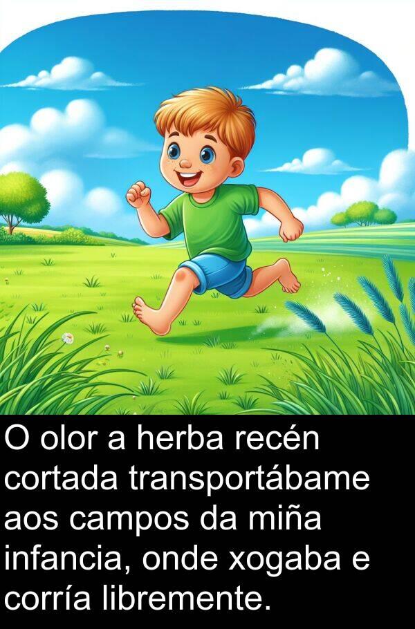 recén: O olor a herba recén cortada transportábame aos campos da miña infancia, onde xogaba e corría libremente.