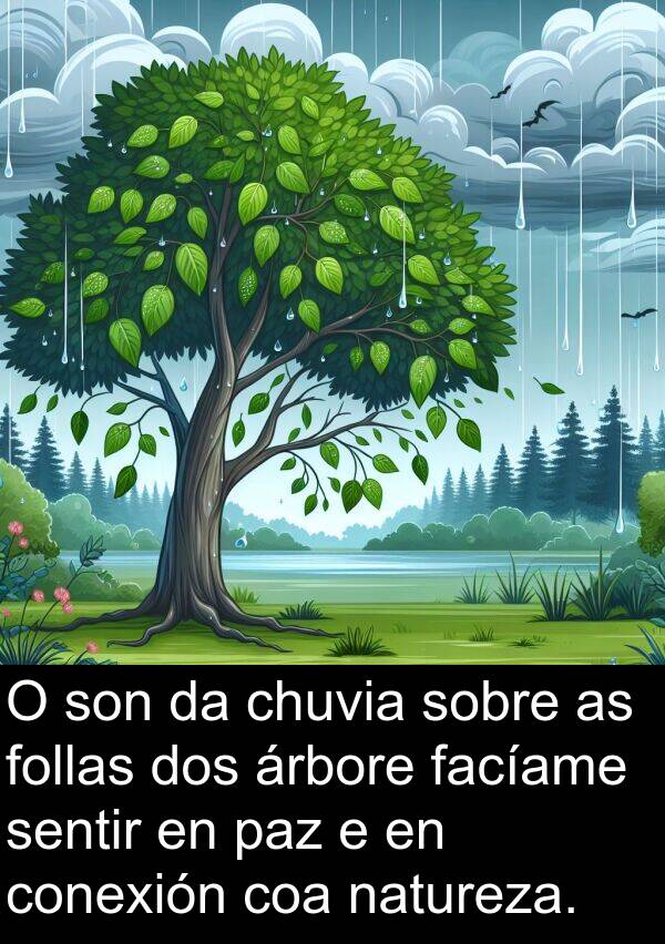 conexión: O son da chuvia sobre as follas dos árbore facíame sentir en paz e en conexión coa natureza.