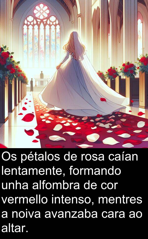 rosa: Os pétalos de rosa caían lentamente, formando unha alfombra de cor vermello intenso, mentres a noiva avanzaba cara ao altar.
