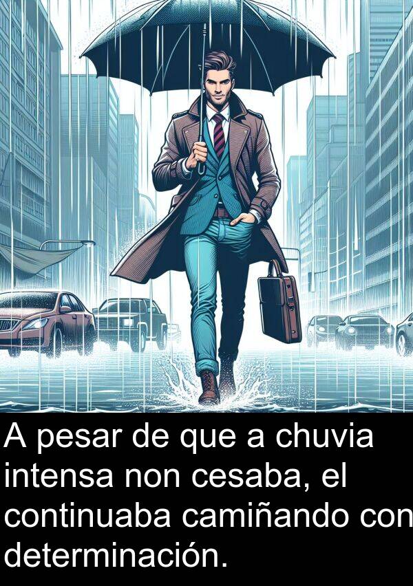 pesar: A pesar de que a chuvia intensa non cesaba, el continuaba camiñando con determinación.