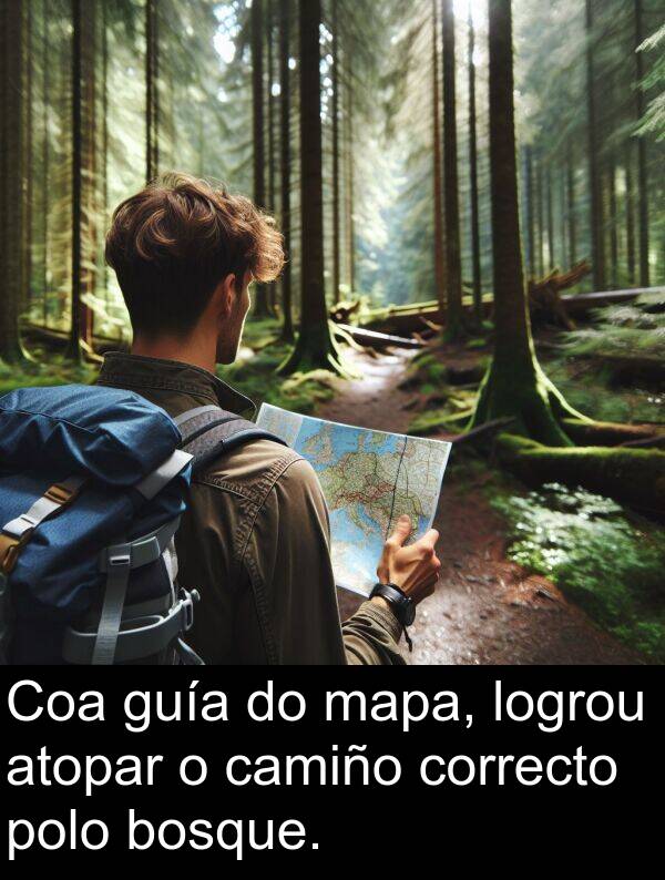 mapa: Coa guía do mapa, logrou atopar o camiño correcto polo bosque.