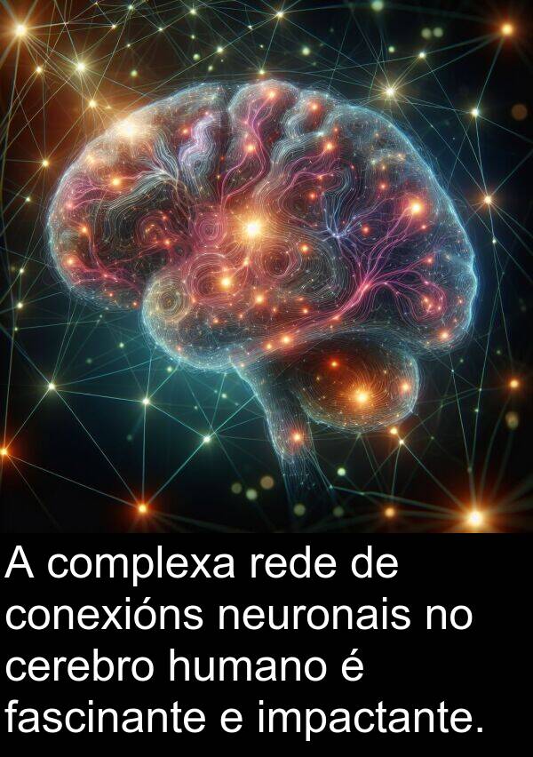 rede: A complexa rede de conexións neuronais no cerebro humano é fascinante e impactante.