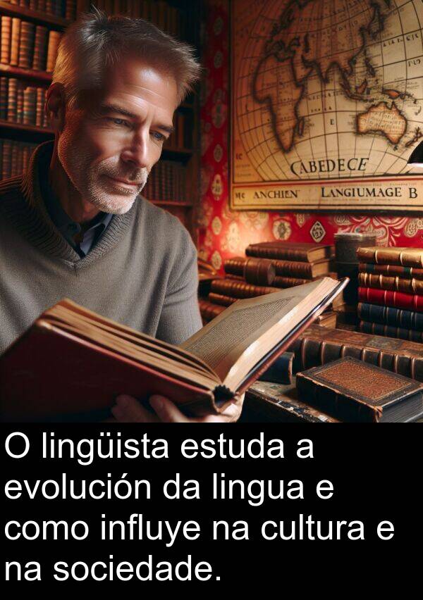 estuda: O lingüista estuda a evolución da lingua e como influye na cultura e na sociedade.