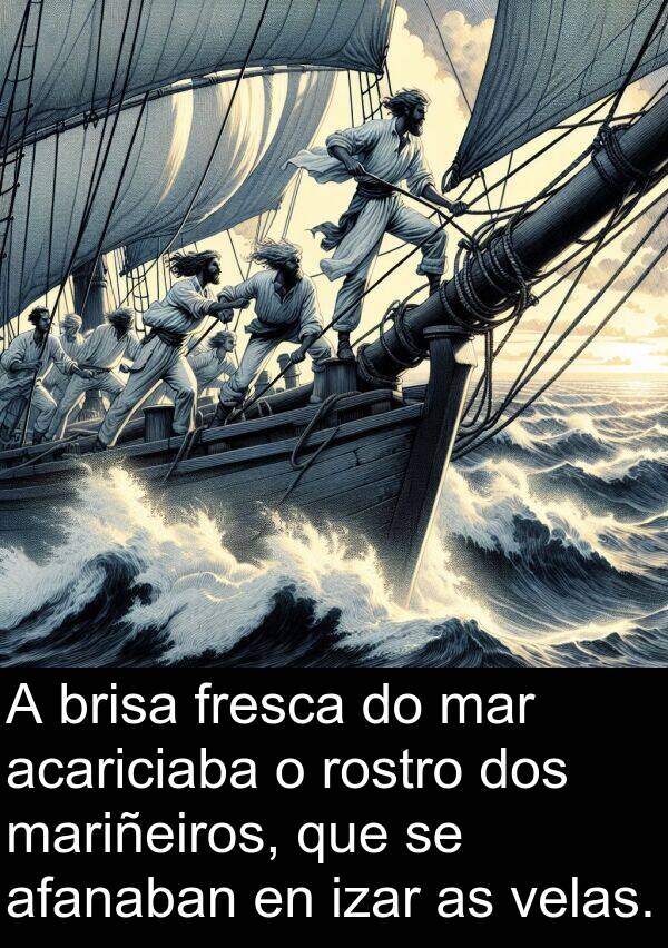 rostro: A brisa fresca do mar acariciaba o rostro dos mariñeiros, que se afanaban en izar as velas.