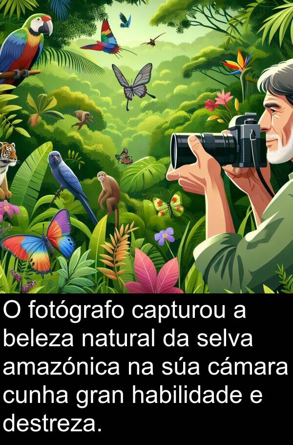 destreza: O fotógrafo capturou a beleza natural da selva amazónica na súa cámara cunha gran habilidade e destreza.