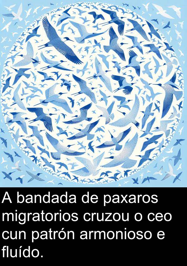 patrón: A bandada de paxaros migratorios cruzou o ceo cun patrón armonioso e fluído.