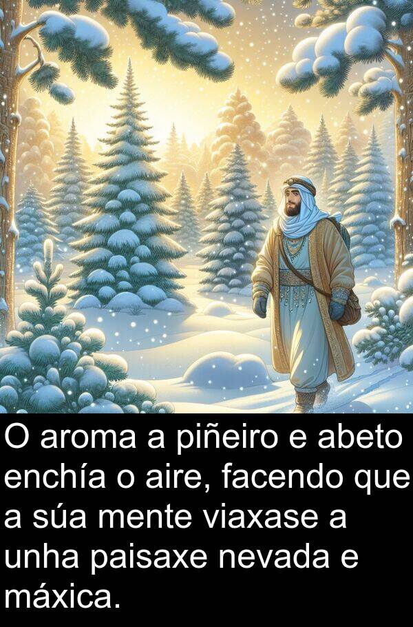 piñeiro: O aroma a piñeiro e abeto enchía o aire, facendo que a súa mente viaxase a unha paisaxe nevada e máxica.