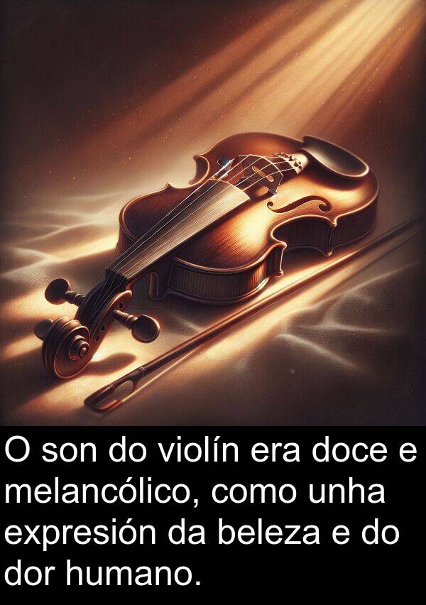 expresión: O son do violín era doce e melancólico, como unha expresión da beleza e do dor humano.