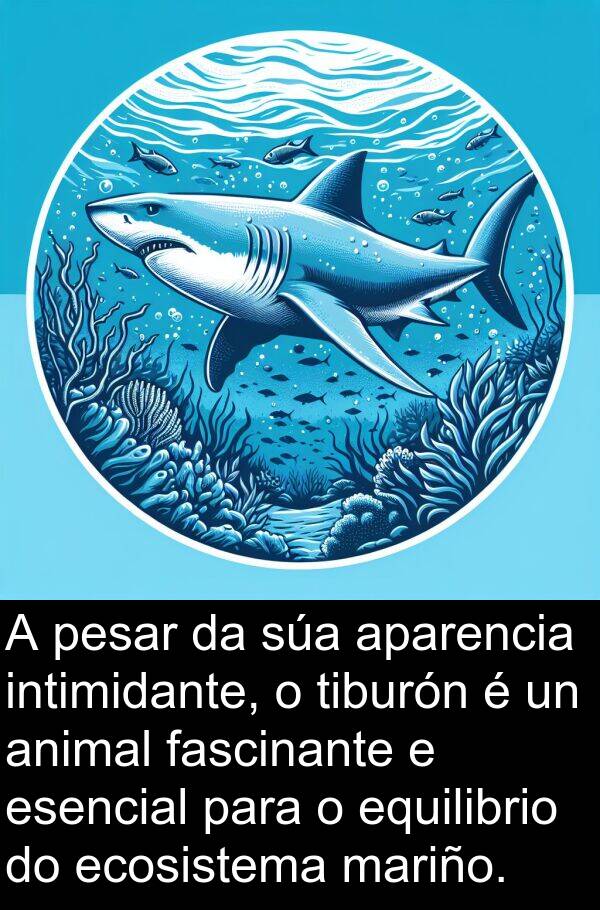 equilibrio: A pesar da súa aparencia intimidante, o tiburón é un animal fascinante e esencial para o equilibrio do ecosistema mariño.
