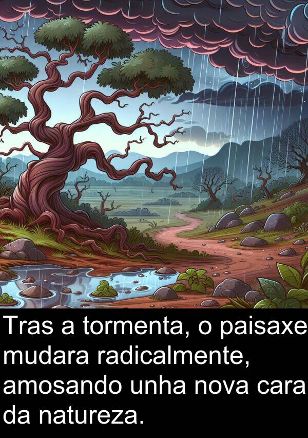 radicalmente: Tras a tormenta, o paisaxe mudara radicalmente, amosando unha nova cara da natureza.