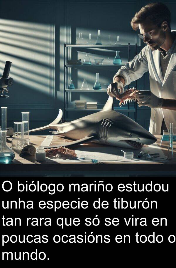 rara: O biólogo mariño estudou unha especie de tiburón tan rara que só se vira en poucas ocasións en todo o mundo.