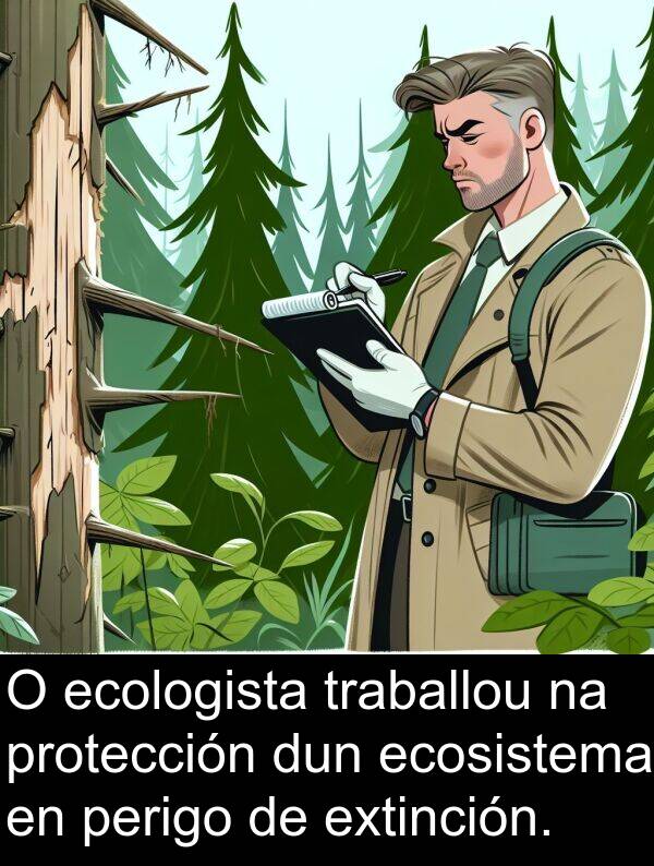 ecologista: O ecologista traballou na protección dun ecosistema en perigo de extinción.