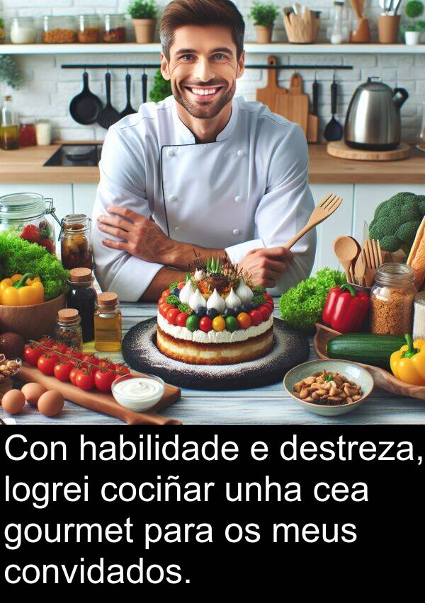 destreza: Con habilidade e destreza, logrei cociñar unha cea gourmet para os meus convidados.
