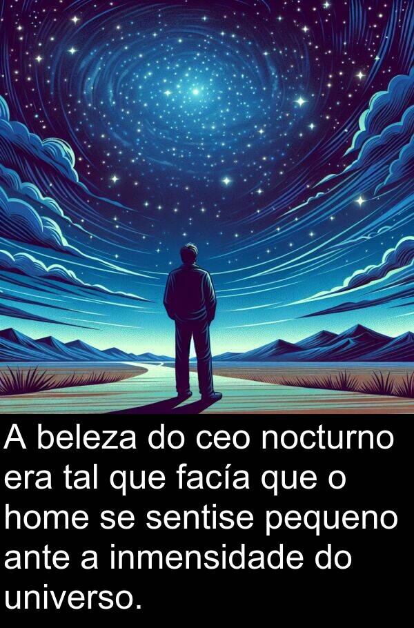 tal: A beleza do ceo nocturno era tal que facía que o home se sentise pequeno ante a inmensidade do universo.