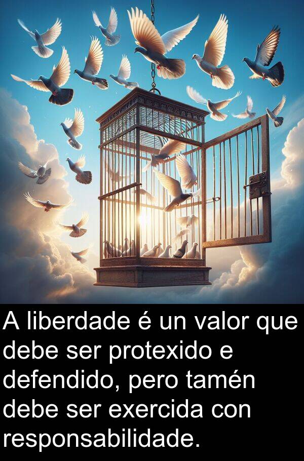 valor: A liberdade é un valor que debe ser protexido e defendido, pero tamén debe ser exercida con responsabilidade.